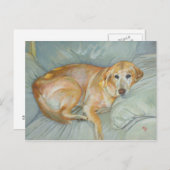 Het Briefkaart van Stoli (Voorkant / Achterkant)