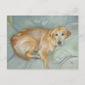 Het Briefkaart van Stoli (Voorkant)