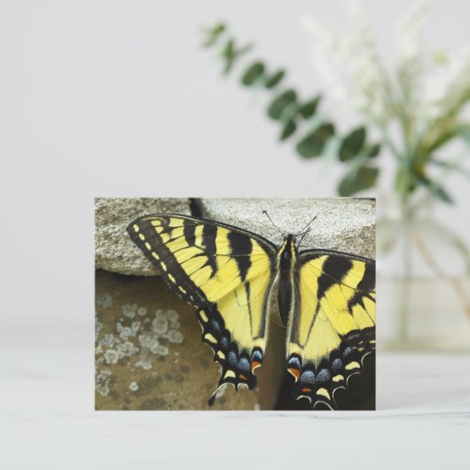 Het Briefkaart van Swallowtail van de tijger (Staand voorkant)