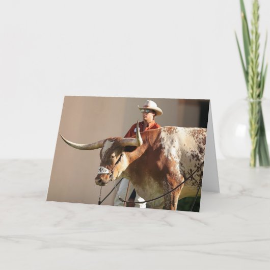 Het Briefkaart van Texas Longhorns (Voorkant)