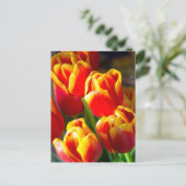 Het briefkaart van tulpen (Staand voorkant)