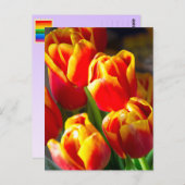 Het briefkaart van tulpen (Voorkant / Achterkant)