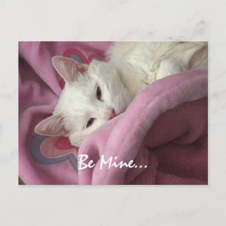 Het Briefkaart van Valentijn