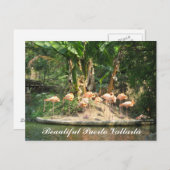 Het Briefkaart van Vallarta van Puerto (Voorkant / Achterkant)