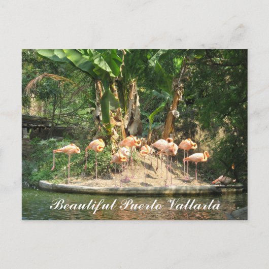Het Briefkaart van Vallarta van Puerto (Voorkant)