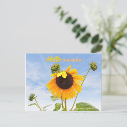 Het Briefkaart Waving Sunflower (Staand voorkant)