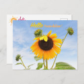 Het Briefkaart Waving Sunflower (Voorkant / Achterkant)