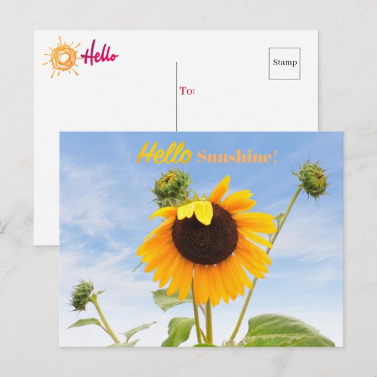Het Briefkaart Waving Sunflower (Voorkant / Achterkant)