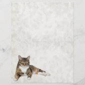 Het briefpapier van Annie The Cat (Achterkant)