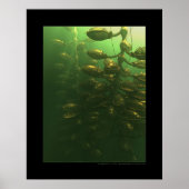 Het broeikaseffect poster (Voorkant)