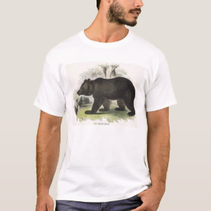 Het bruine Beer, educatieve illustratiepub. door t T-shirt
