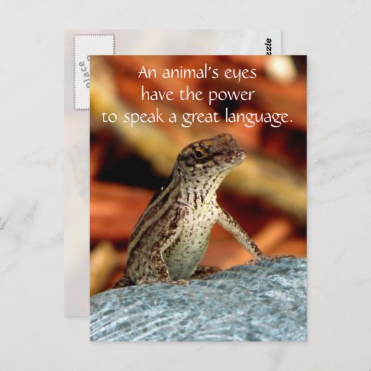 Het bruine Briefkaart Anole (van de Hagedis) (Voorkant / Achterkant)
