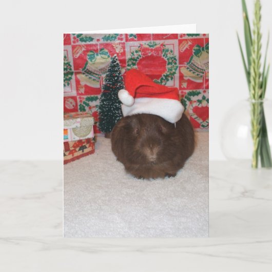 Het bruine Varken van de Kerstman Feestdagen Kaart (Voorkant)