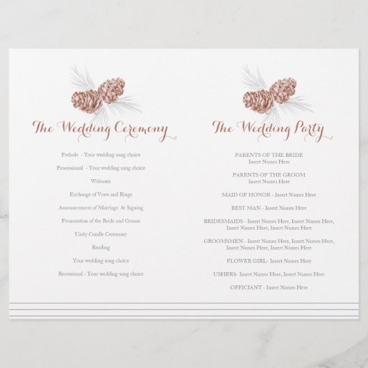 Het bruine wintertrouwprogramma voor de winter (Achterkant)