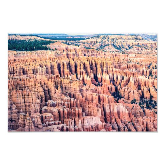 Het Bryce Canyon National Park - Utah, VS Foto Afdruk (Voorkant)