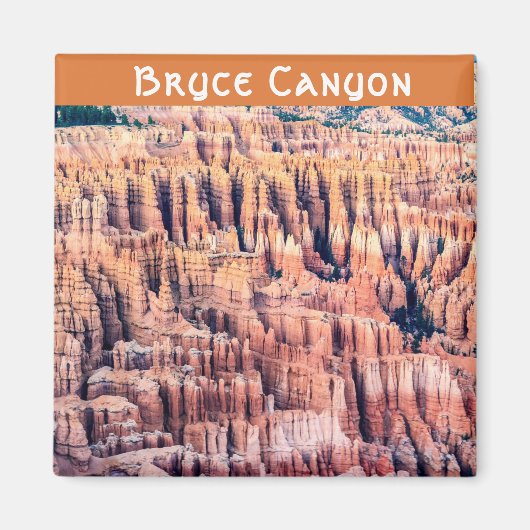 Het Bryce Canyon National Park - Utah, VS Magneet (Voorkant)