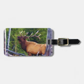 Het Bugler Elk Bull Bagagelabel (Voorkant horizontaal)