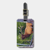 Het Bugler Elk Bull Bagagelabel (Voorkant verticaal)