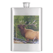 Het Bugler Elk Bull Heupfles (Voorkant)