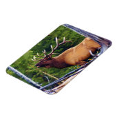 Het Bugler Elk Bull Magneet (Linkerzijde)