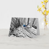 Het buitengewone Wenskaart van het Winterkoninkje Kaart (Gele Bloem)