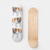 Het bulldog Skateboard (Voorkant)