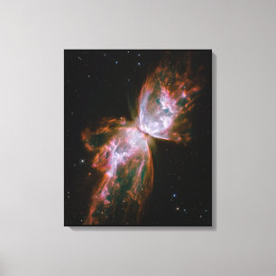 Het Butterfly-effect Canvas Afdruk