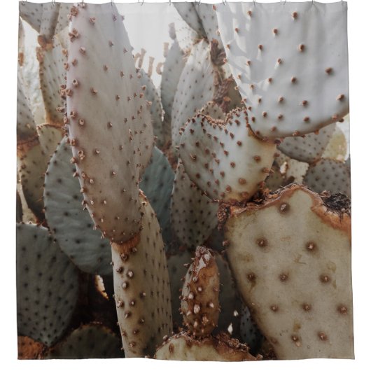 HET CACTUS SLUITING-UP UITZICHT DOUCHEGORDIJN (Voorkant)