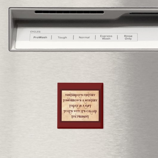 Het Cadeau Magneet (Insitu (Vaatwasser))