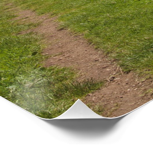 Het Caldon Canal Cheddleton Staffordshire Perfect Poster (Hoek)