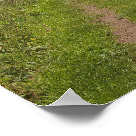 Het Caldon Canal Cheddleton Staffordshire Poster (Hoek)