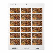 Het Camouflage schilderen van Hunter past dit aan! Etiket (Full Sheet)