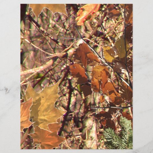 Het Camouflage schilderen van Hunter past dit aan! Flyer (Voorkant)