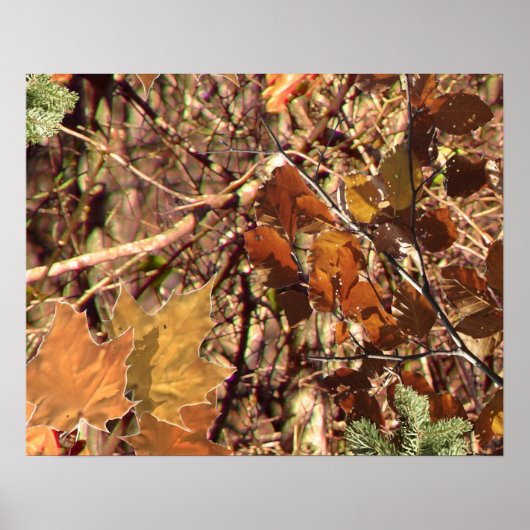 Het Camouflage schilderen van Hunter past dit aan! Poster (Voorkant)