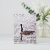 Het Canada Goose Briefkaart (Staand voorkant)