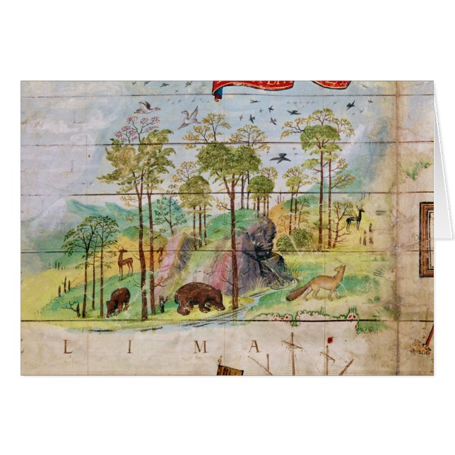 Het Canadese bos (Voorkant Horizontaal)