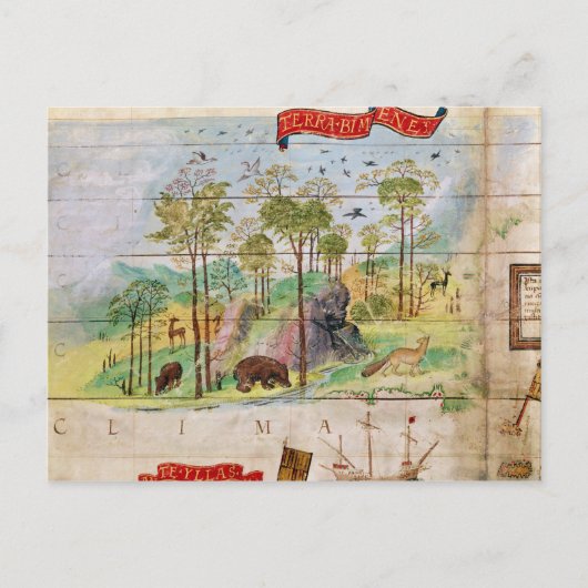 Het Canadese bos Briefkaart (Voorkant)