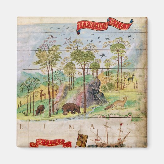 Het Canadese bos Magneet (Voorkant)