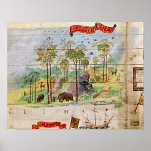 Het Canadese bos Poster