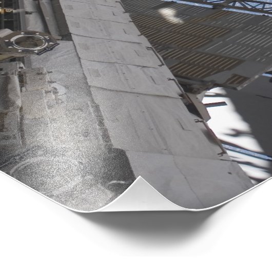 Het Canadese Dextre-roboticasysteem Foto Afdruk (Hoek)