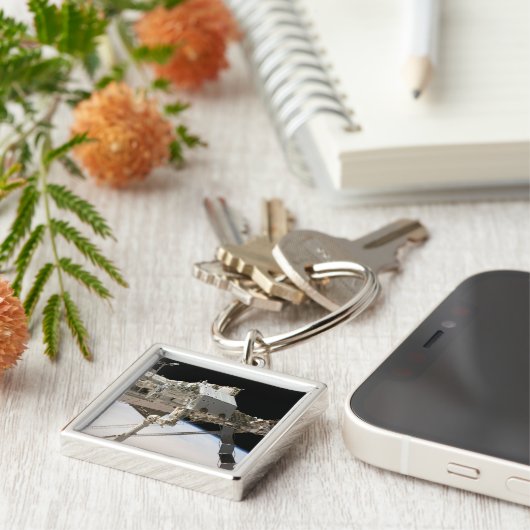 Het Canadese Dextre-roboticasysteem Sleutelhanger (Zijkant)