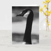 Het Canadese Wenskaart van het Portret van de Kaart (Gele Bloem)