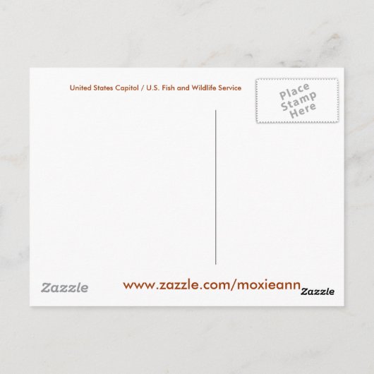 Het Capitool van de Verenigde Staten, Washington D Briefkaart (Achterkant)