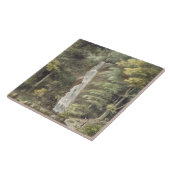 Het cascade-waterval in de tuinen van Hestercombe Tegeltje (Zijkant)