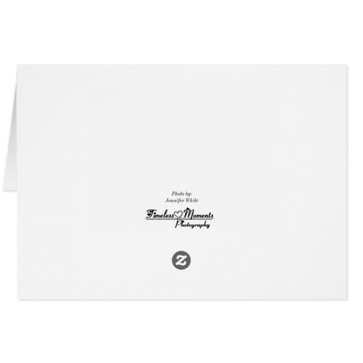 Het centrum Springfield (Achterkant Horizontaal)