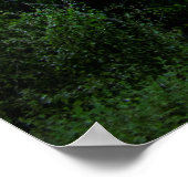 Het centrum van Austin Skyline uit Norwood-Austin  Poster (Hoek)