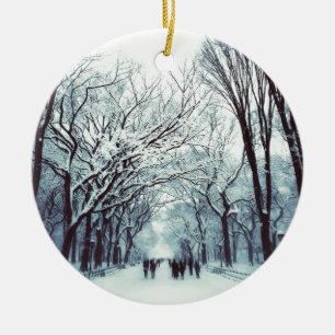 het centrum van het park in de winter keramisch ornament