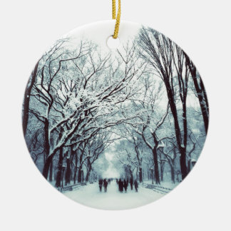 het centrum van het park in de winter keramisch ornament