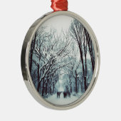 het centrum van het park in de winter metalen ornament (Rechts)