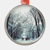 het centrum van het park in de winter metalen ornament (Voorkant)